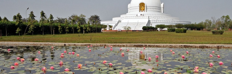 Buddhist Circuit Tour