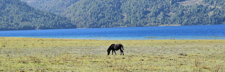 Rara Lake Trek (Flight & Trek)