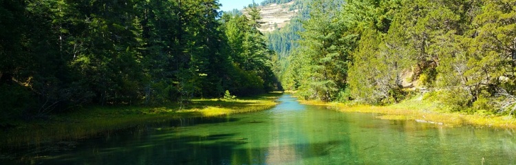 Rara Lake Short Trek 